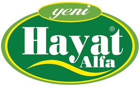 Hayat