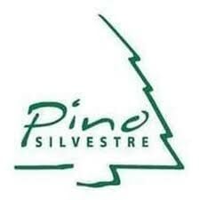 Pino