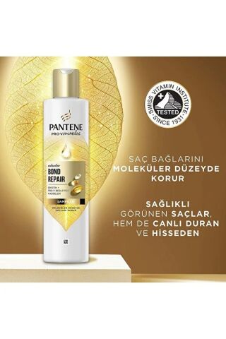 Pantene Pro-V Miracles Molecular Bond Repair Şampuan Yıpranmış Saçlar İçin 250 ml