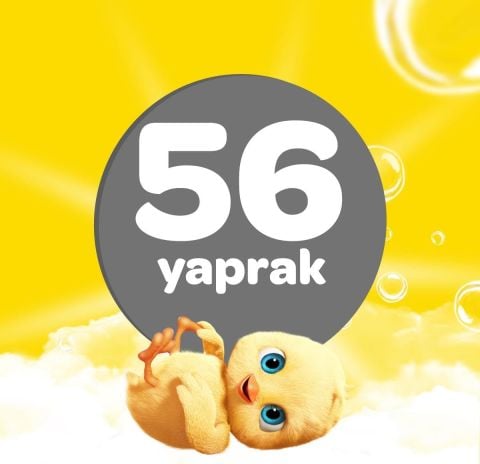 Dalin 56 Yaprak Islak Havlu