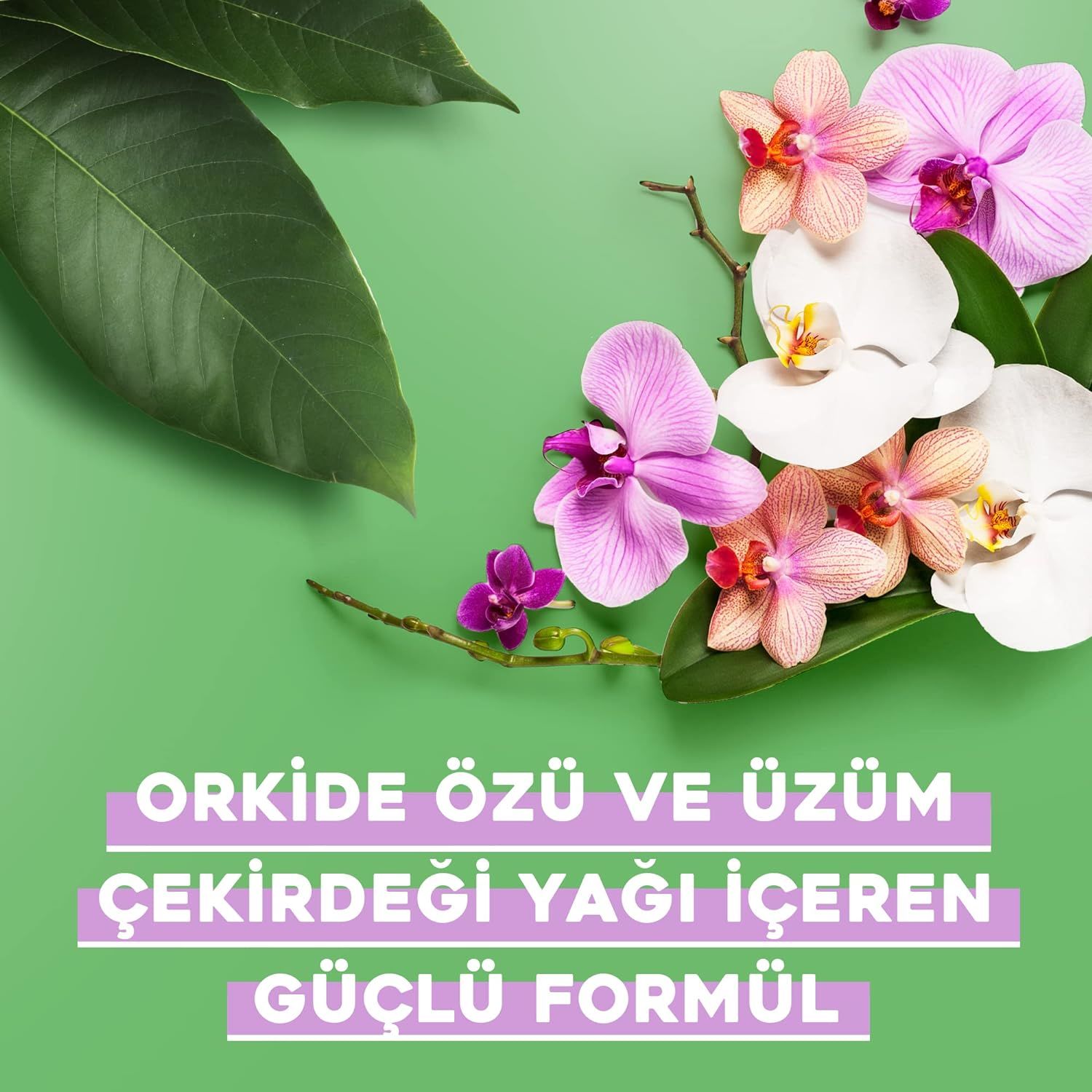 OGX Renk Koruyucu Orchid Oil Sülfatsız Şampuan 385mL