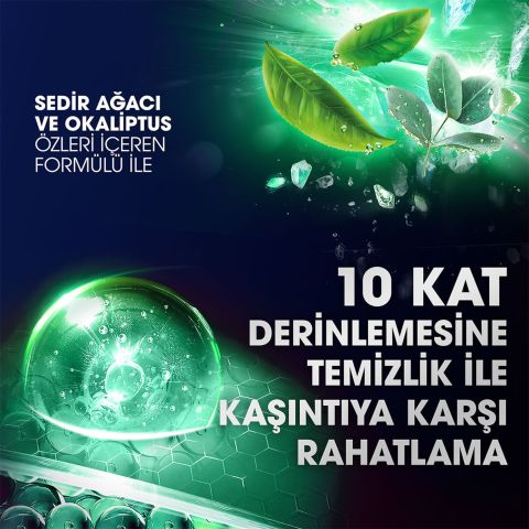 Clear Men Günlük Arınma ve Ferahlık Sedir Ağacı ve Okaliptus Özleri Kepeğe Karşı Şampuan 350ml