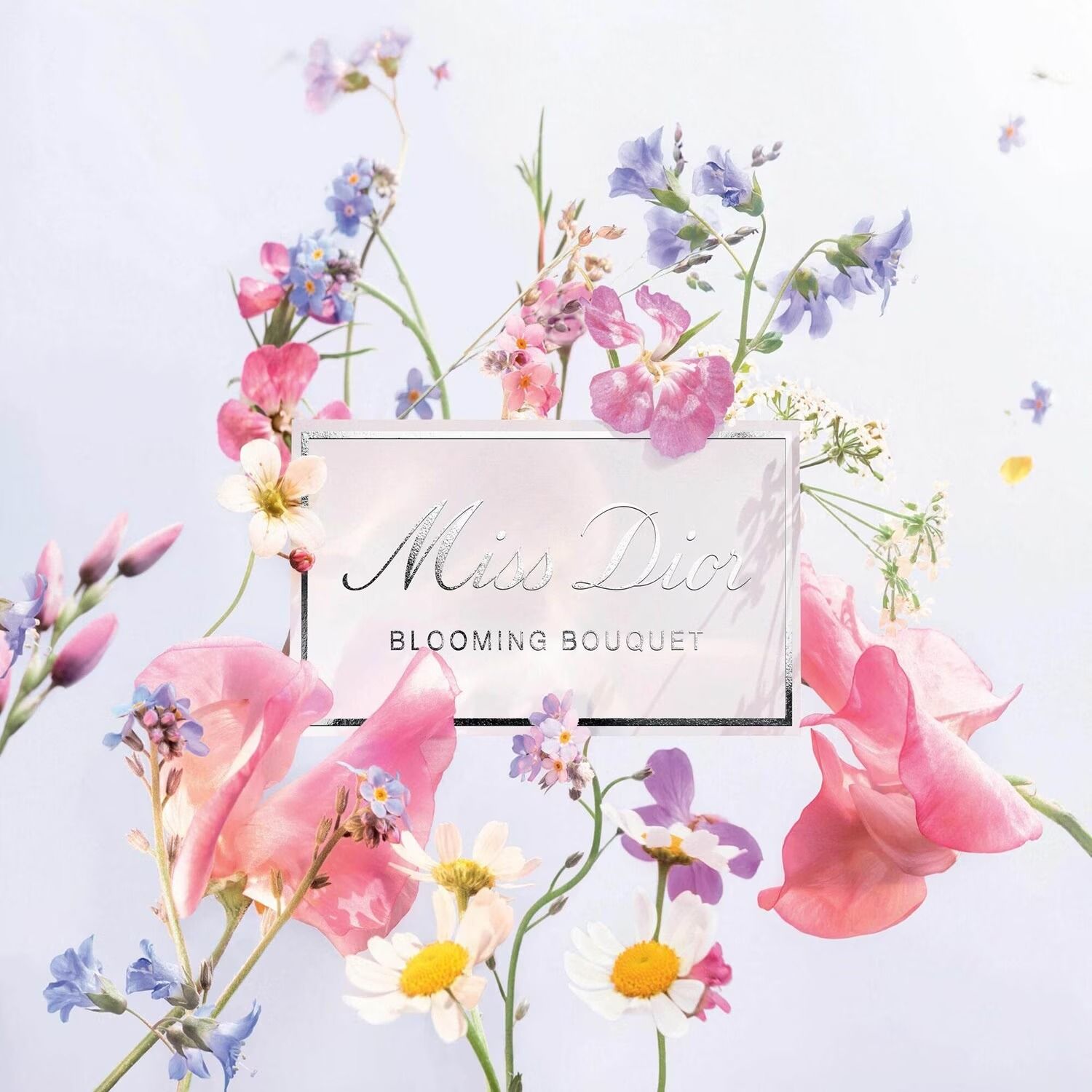 Dior Miss Dior Blooming Bouquet EDT 100 ml Kadın Parfüm