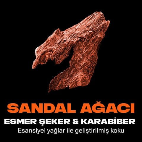 Axe Premium Collection Copper Santal Duş Jeli 3 in 1 Vücut Saç Yüz 300 Ml