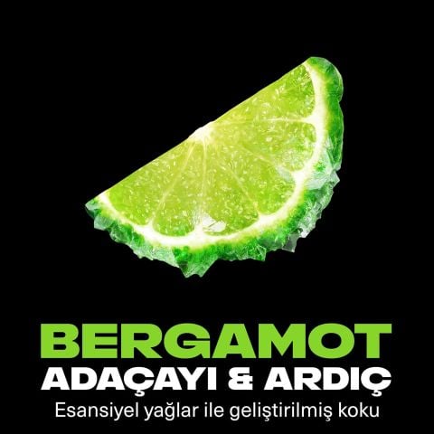 Axe Premium Collection Aqua Bergamot Duş Jeli 3 in 1 Vücut Saç Yüz 300 Ml