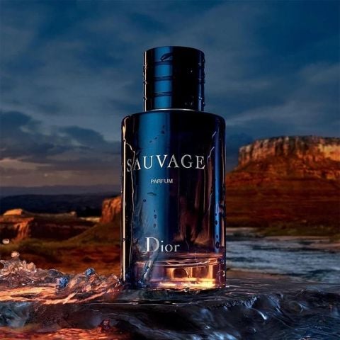 Dior Sauvage Parfum Spray 100ML Erkek Parfüm EDP