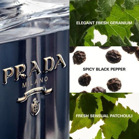 Prada L'Homme Prada EDT Erkek Parfümü 100 ML