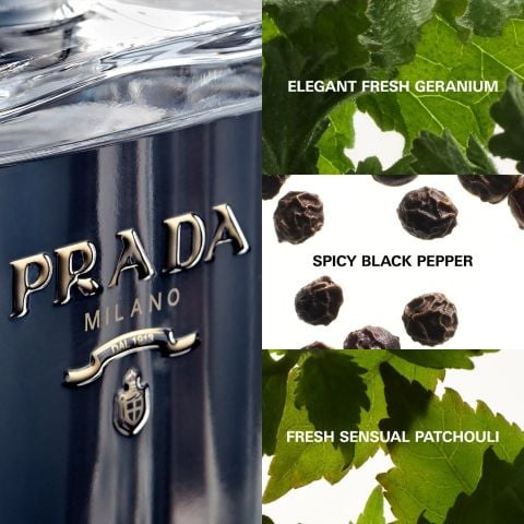 Prada L'Homme Prada EDT Erkek Parfümü 100 ML