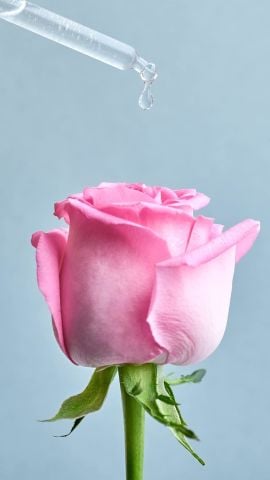 NIVEA Aqua Rose Organik Gül Suyu İçeren Nemlendirici Tonik 200ml