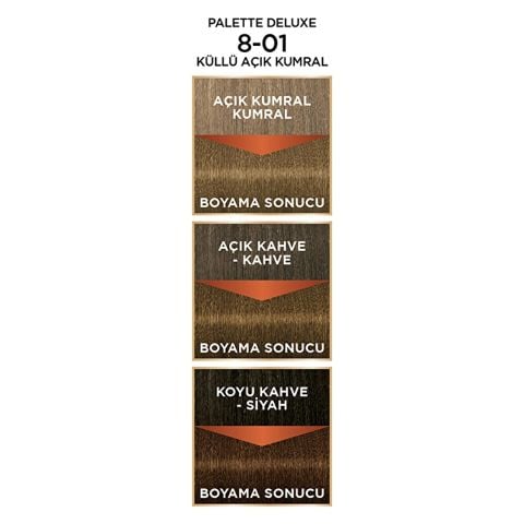 Palette Deluxe Eşsiz Yağ Bakımı Saç Boyası Küllü Açık Kumral 8-01