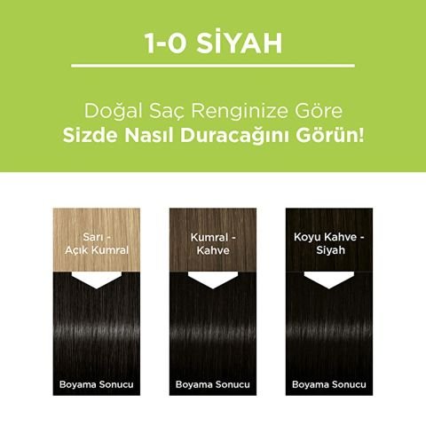 Palette Kalıcı Doğal Renkler Saç Boyası 1-0 Siyah