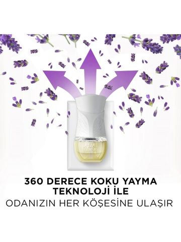 Air Wick Elektrikli Oda Kokusu Cihaz Yedek Şişe Lavanta