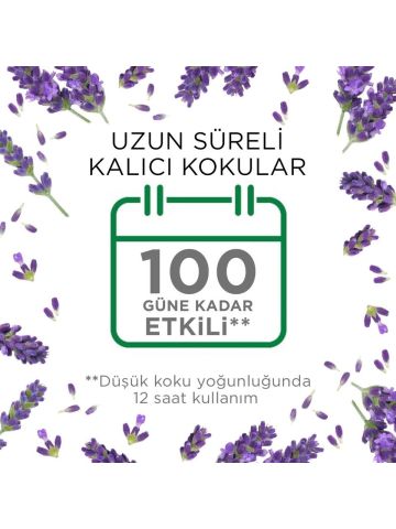 Air Wick Elektrikli Oda Kokusu Cihaz Yedek Şişe Lavanta