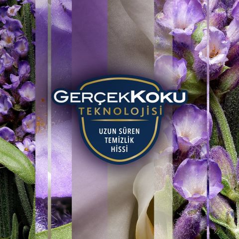 Glade Aerosol Lavanta Ferahlığı Oda Kokusu 300 ml