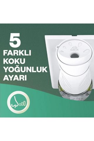 Air Wick Elektrikli Oda Kokusu Yedek Şişe Vanilya Büyüsü