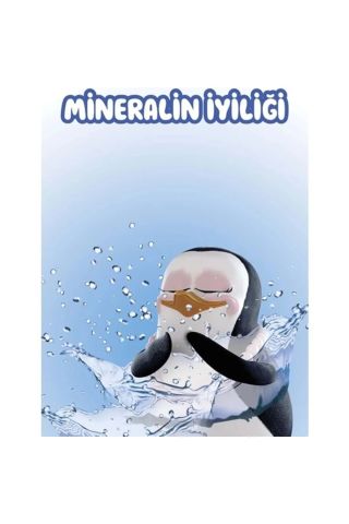 Familia Mineralin İyiliği Islak Havlu Mendil 90 Yaprak