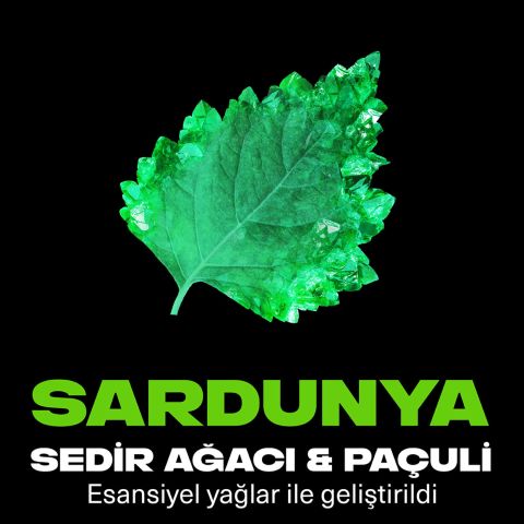 Axe Emerald Sage Erkek Sprey Deodorant 150ml