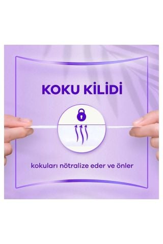 Orkid Günlük Ped Normal 40 Adet Ekonomik Paket