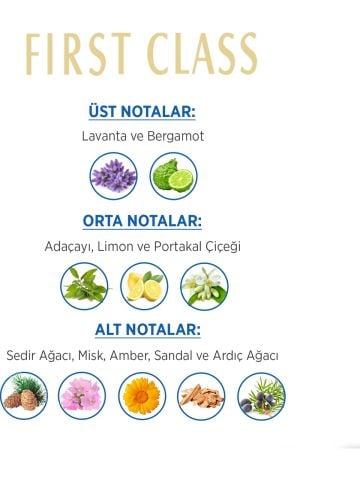 First Class Edt 100 Ml Erkek Parfümü