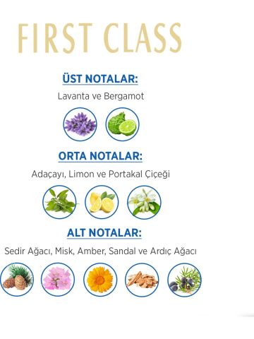 First Class Edt 100 Ml Erkek Parfümü